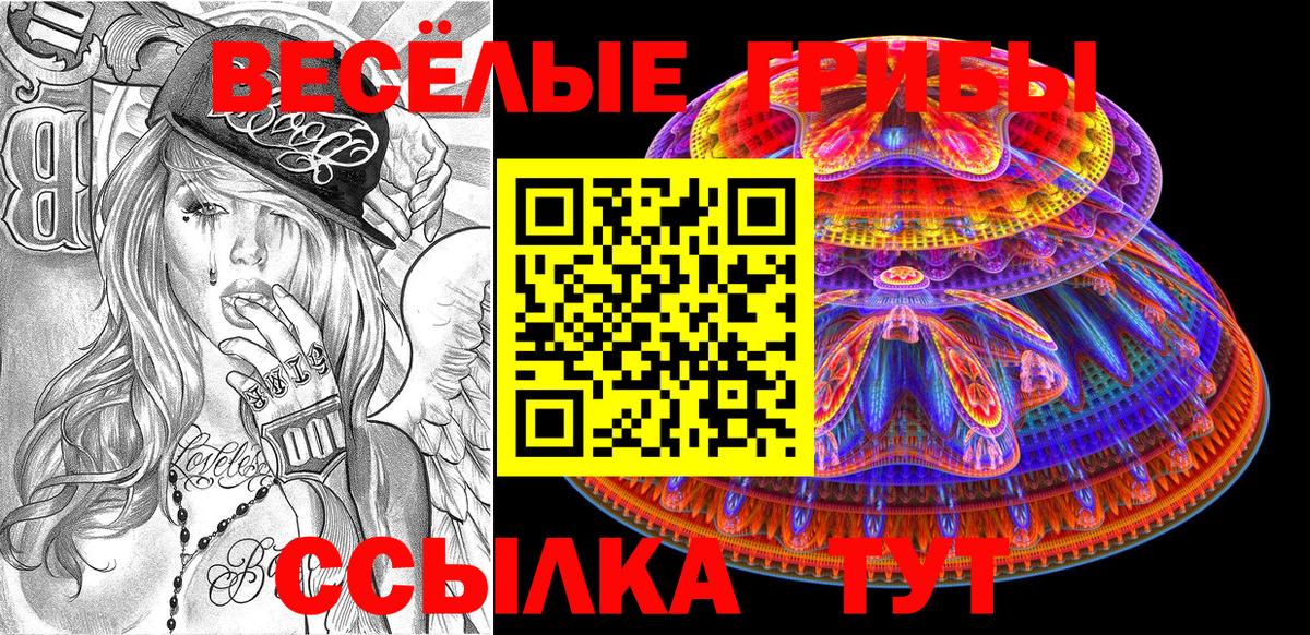 где продают   Псилоцибиновые грибы Magic Shrooms  Карталы  Вход с VPN  Галлюциногенные грибы Psilocybine cubensis 